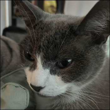 This involved some RFID chip sewn into a glove, which looking back would not have applied to this project at all. I think I was just throwing stuff at the wall to see what stuck.