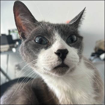 Same thing as before, the purpose was to unlock a door (like the ones on campus)