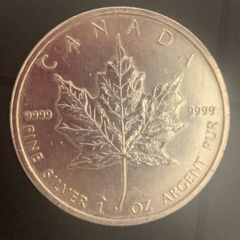 Close up of one coin.