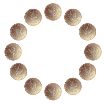 12 pure silver coins, representing the ~$120 I generally always have at least at the time of making this.