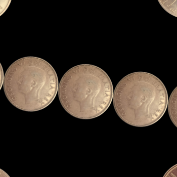 I put the two images in the 2D p5.js activity as an interactive selfie-data portrait.